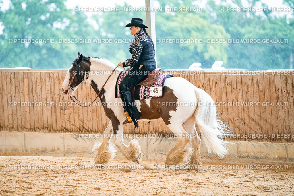 DSC00483 | Pferdegrafie