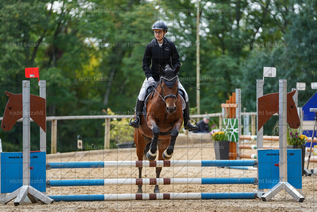 20231008-SN_01193 | Professionelle Turnier- und Reitsportfotografie - mit dem Finger am Auslöser. Pferdebilder aus dem Reitsport von den Turnierfotografen  Bayern , Pferdefotograf Bayern, Pferdeshooting Turnierbilder, Hochzeitsfotograf, Eventfotograf, Hochzeitsbilder