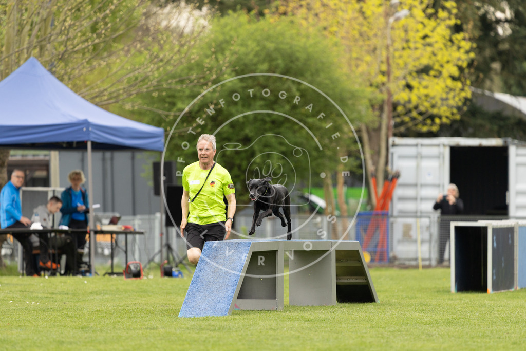 Pfotenfotografie_DV3A9137 | Hundefotografie, Tierfotograf, Pfotenfotografie, Fotoshooting Hund, Hunde Portrait, Hundesport, Hundeportraits, Heideshooting, Hunde, Sportfotograf, Hundefotograf, Turnierhundsport, THS,  - Realisiert mit Pictrs.com