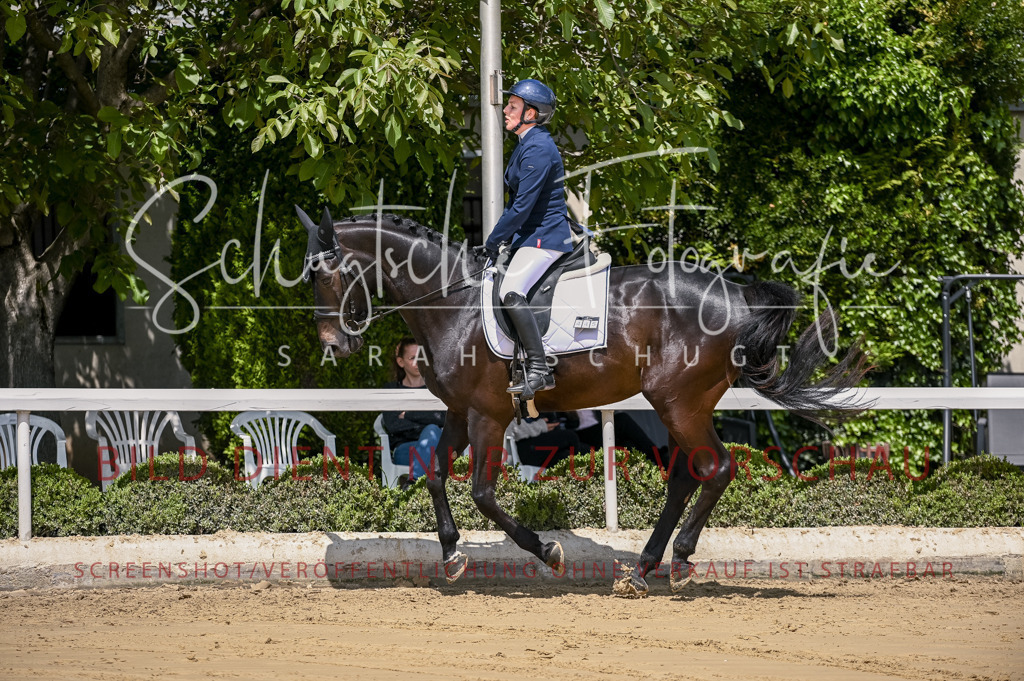 Schugtsche-Aluta25-48.Reitpferfdeprf.-221 | Schugtsche Fotografie - Realisiert mit Pictrs.com