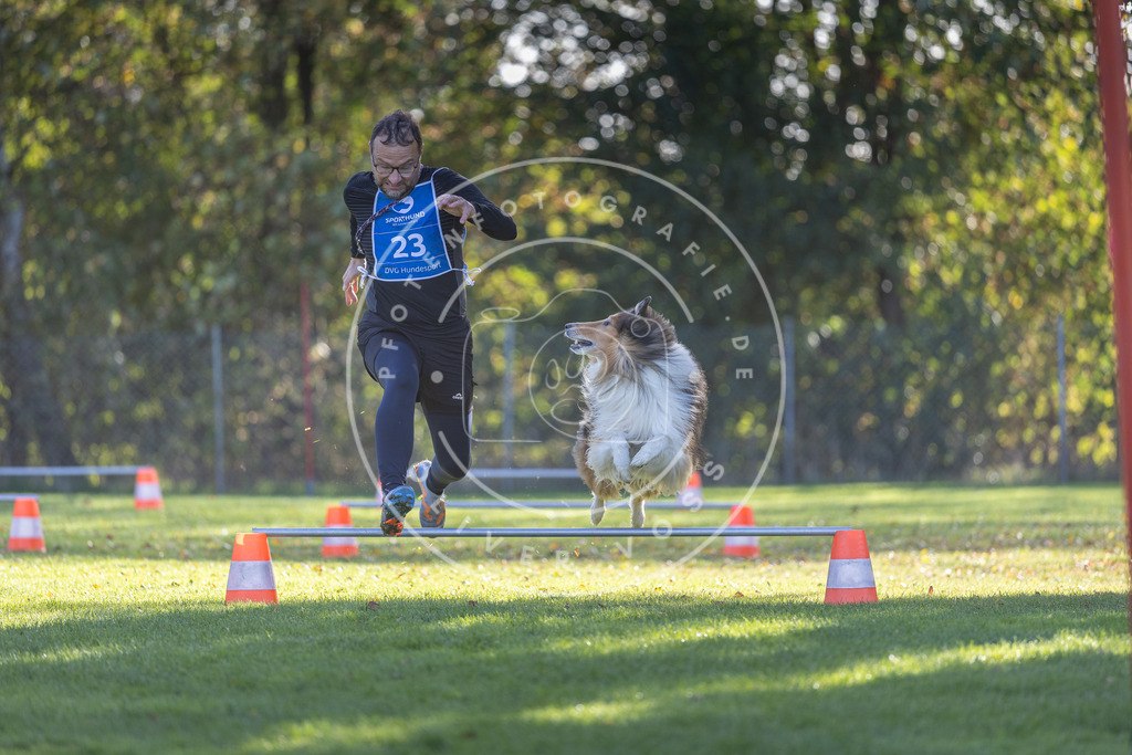 Pfotenfotografie.de_DV3A3030 | Hundefotografie, Tierfotograf, Pfotenfotografie, Fotoshooting Hund, Hunde Portrait, Hundesport, Hundeportraits, Heideshooting, Hunde, Sportfotograf, Hundefotograf, Turnierhundsport, THS, canicross - Realisiert mit Pictrs.com