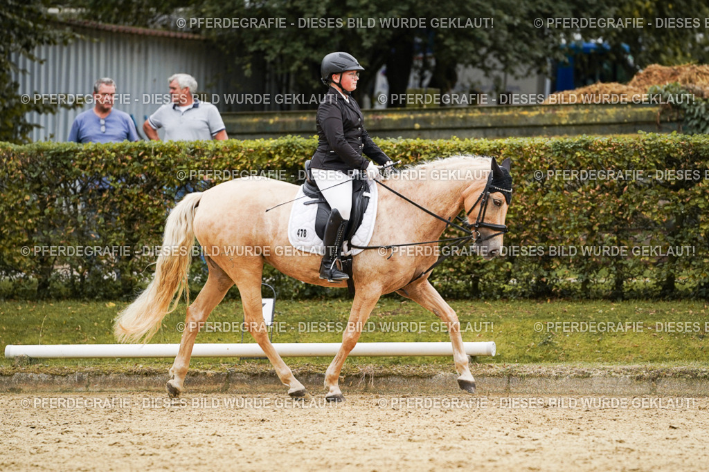 DSC00157 | Pferdegrafie