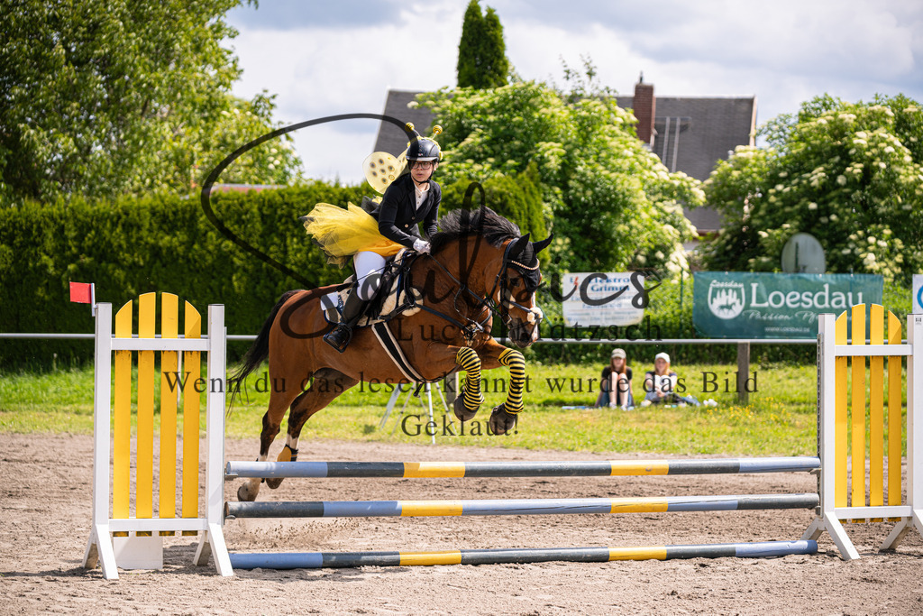 A7V04559 | Pferdefotograf