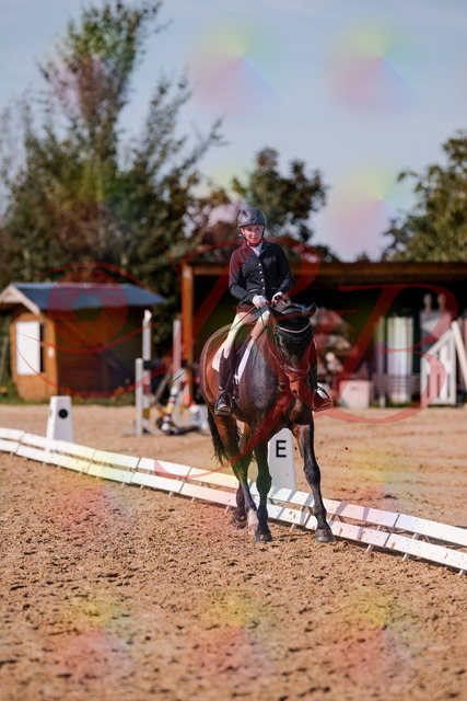 2026_10_03_Siefer-Hof_133811_Z81_94731614 | Professionelle Reitsport-, Turnier- und Eventfotografie von Robert Broda. Galerien mit ausgewählten und bearbeiteten Bildern direkt online ansehen und bestellen.