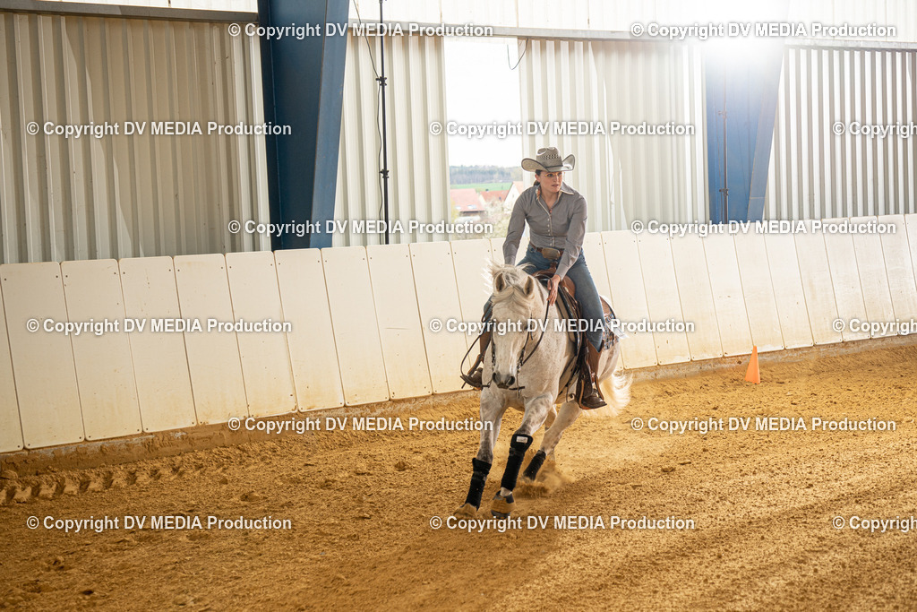 MIT00483 | dv-media-shop - Realisiert mit Pictrs.com