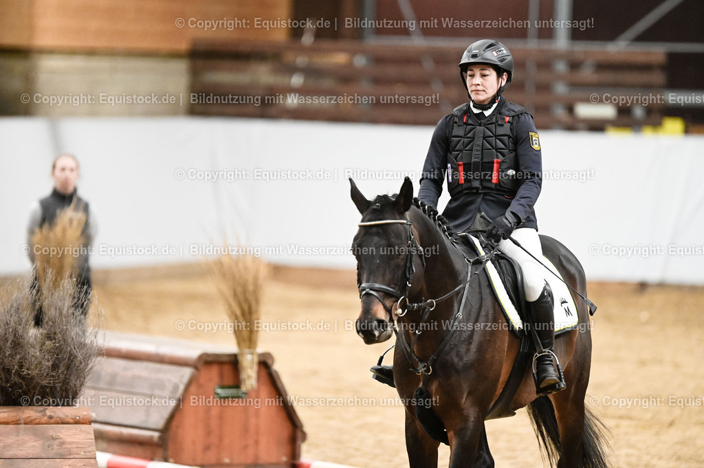 20260307_Hengstvorstellung-Marbach_0447 | equistock