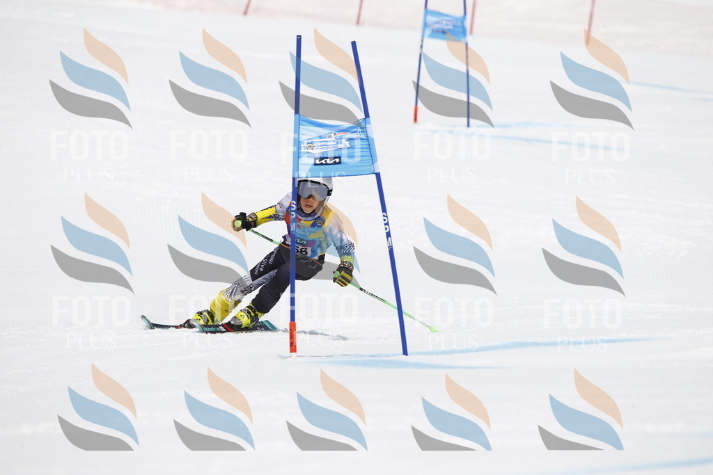 _U3G6477 | holidayphoto