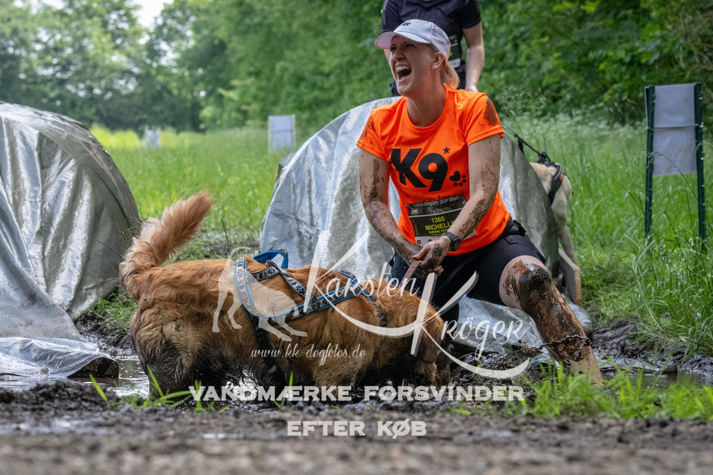 1145_ZZ94386 | kk-dogfotos