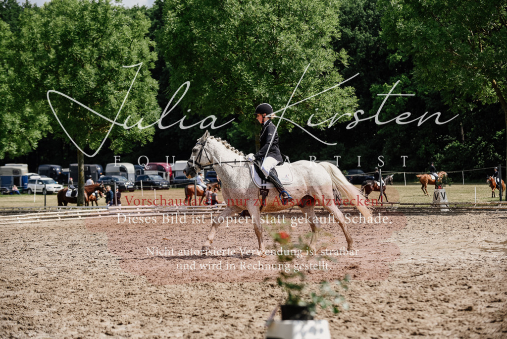 DSC_0552 | Pferde- und Turnierfotografie in Westsachsen. Pferdeportraits, Auftragszeichnungen und intuitive Kunst.