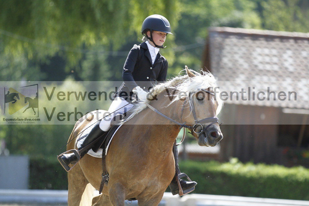 _MG_0382 | equestrian-live-com