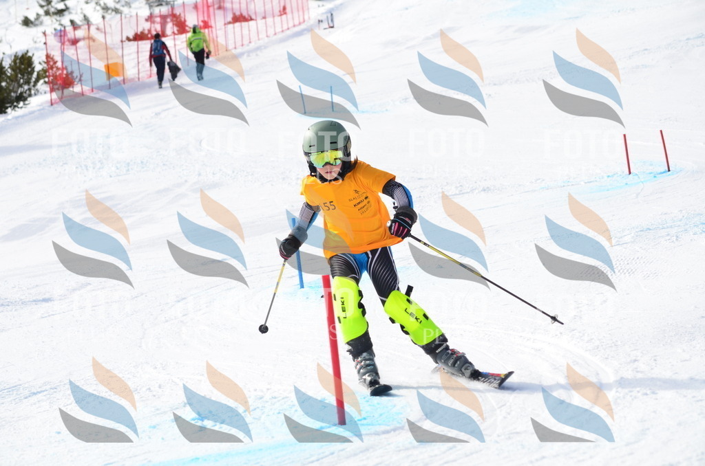 C7796 | holidayphoto