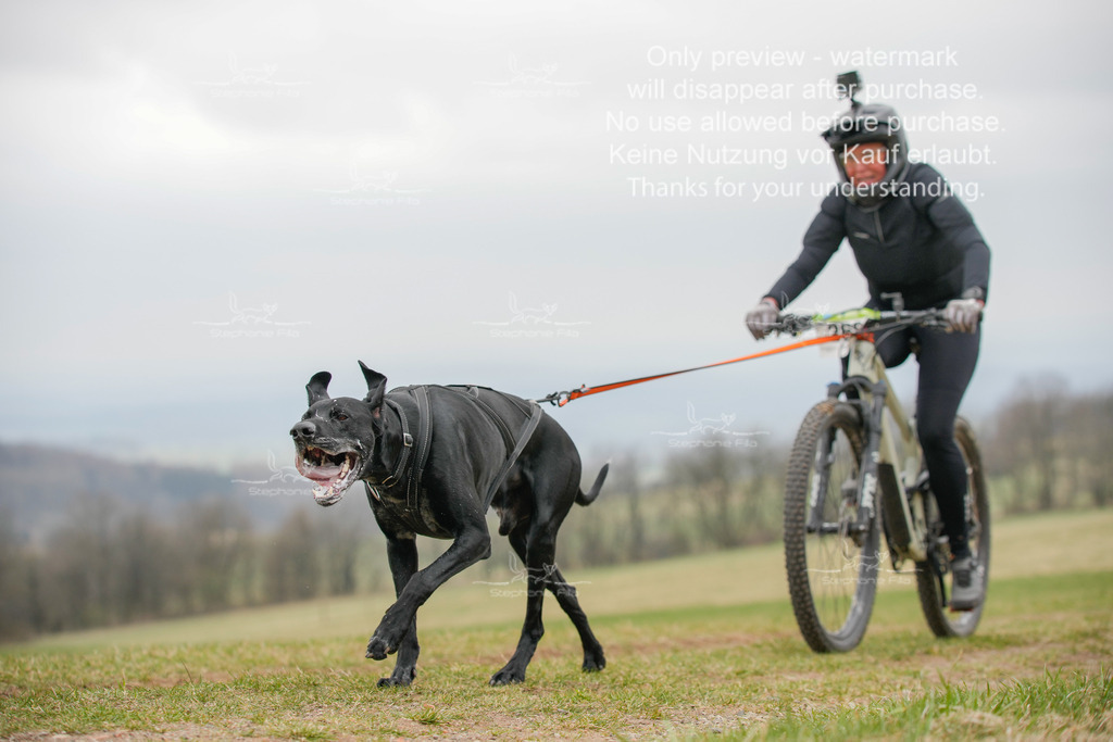 BikeSA-368 | stephaniefillaphotographie - Realisiert mit Pictrs.com