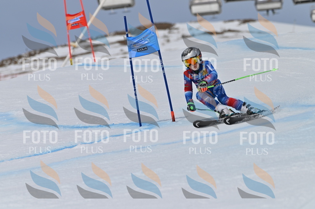 BGV_5588 | holidayphoto