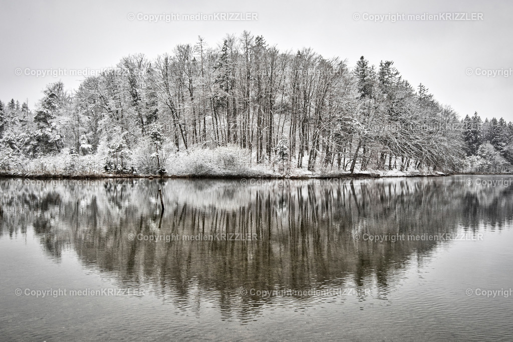 _07A7018 | medienkrizzler - Realisiert mit Pictrs.com