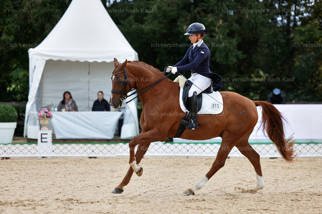 10-013-ST.GEORG SPECIAL -StoibPH-3116 | working equitationturnier fotograf videograf stoibphotography marixx film working equitation deutschland reitsport turnierfotografie eventfotografie equestrian events