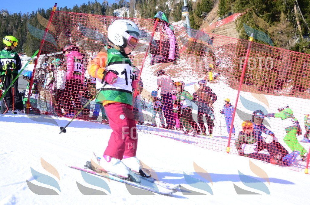 C4669 | holidayphoto