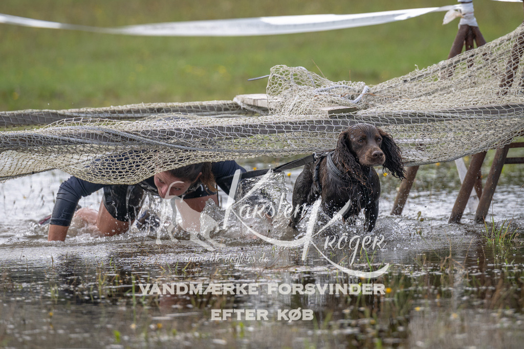 1057_ZZ91675 | kk-dogfotos