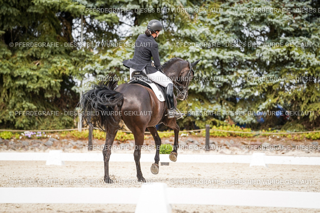 DSC06860 | Pferdegrafie