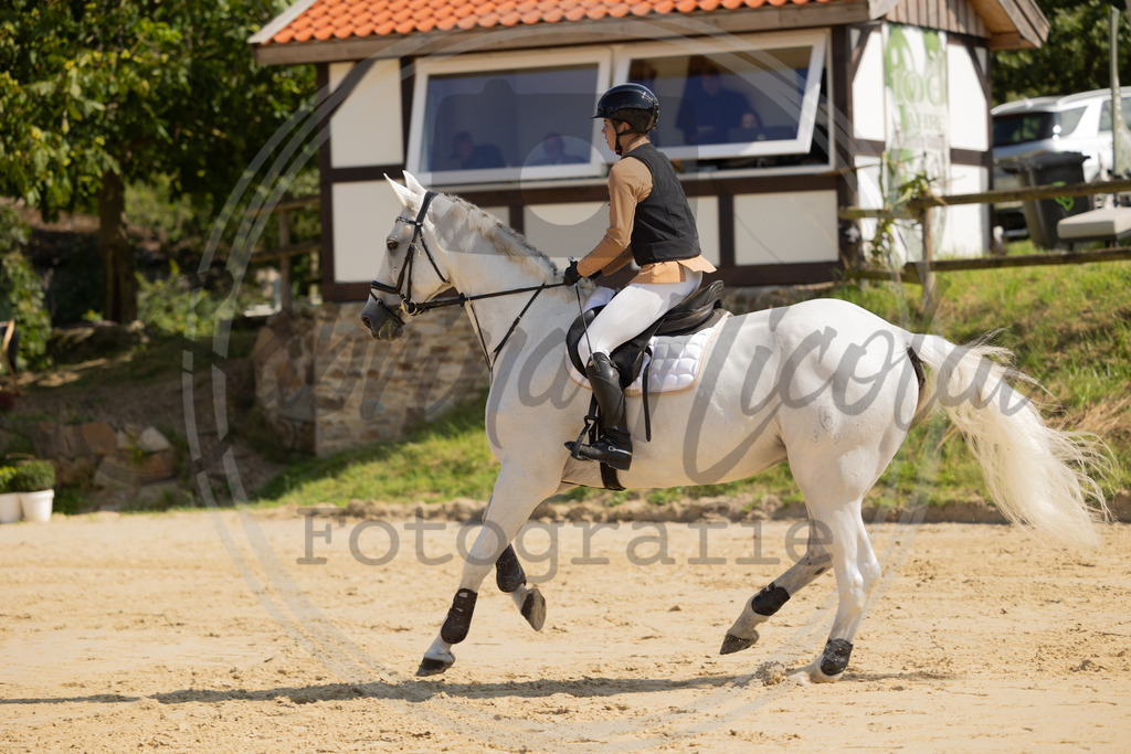 994A8177 | sabrinanicolaifotografie - Realisiert mit Pictrs.com