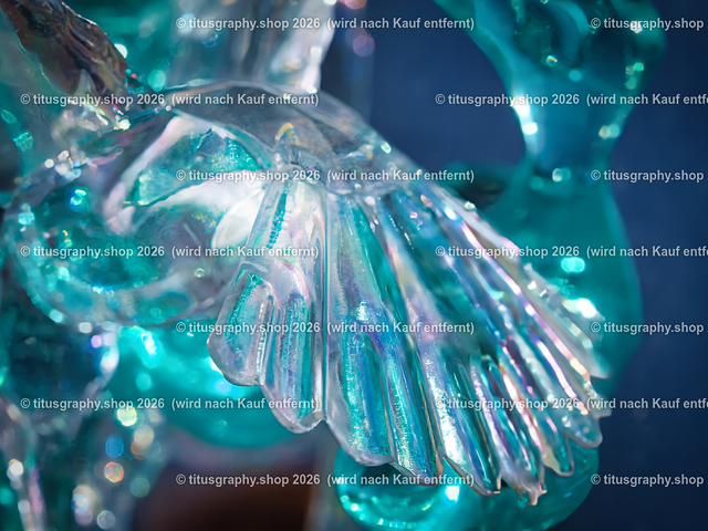 P5146478-b | titusgraphy-shop: Geschenkideen mit Qualitätsfotos. titusgraphy-shop: gift ideas with quality photos. titusgraphy-shop: idées cadeaux avec photos de qualité.  - Realisiert mit Pictrs.com