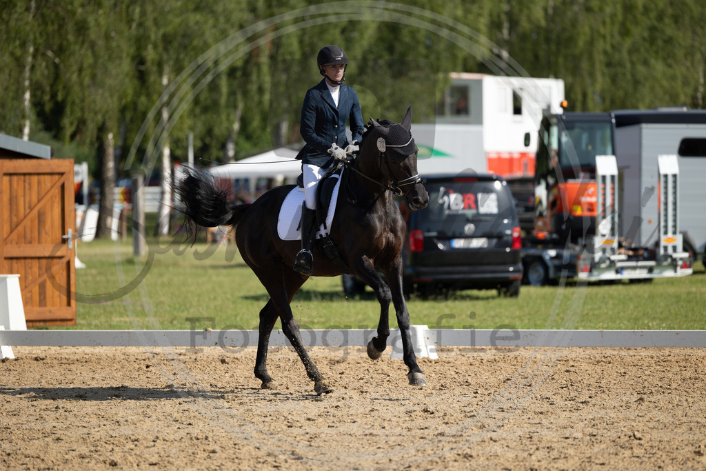 994A4252 | sabrinanicolaifotografie - Realisiert mit Pictrs.com