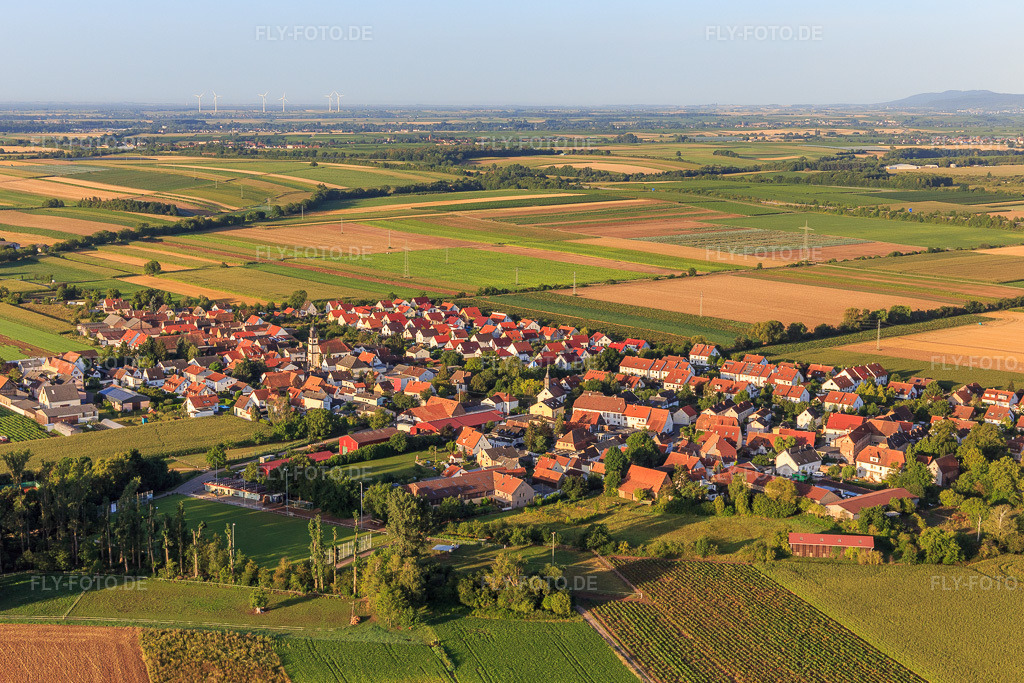 Luftbild: Ortsansicht mit Rasenplatz des SV Mörlheim 1964 e.V. von Nordosten im Ortsteil Mörlheim in Landau im Bundesland Rheinland-Pfalz in Deutschland. Foto: IMG_116636.jpg vom 11.08.2019 durch Werner Riehm/FLY-FOTO.de