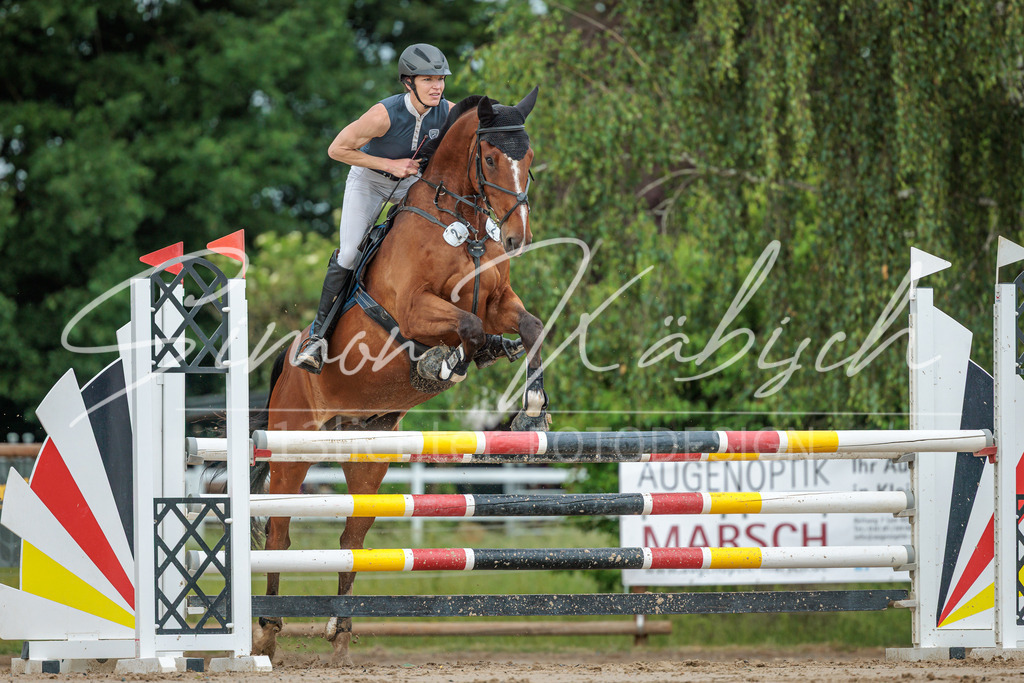20260530-_3LI2356 | Tierfotografie Pferde, Hunde, Katzen, Haustiere.
Turnierfotografie Reitturniere, Reiten, Springreiten, Dressur in Hanau, dem Main-Kinzig-Kreis und dem Rhein-Main- Gebiet um Frankfurt