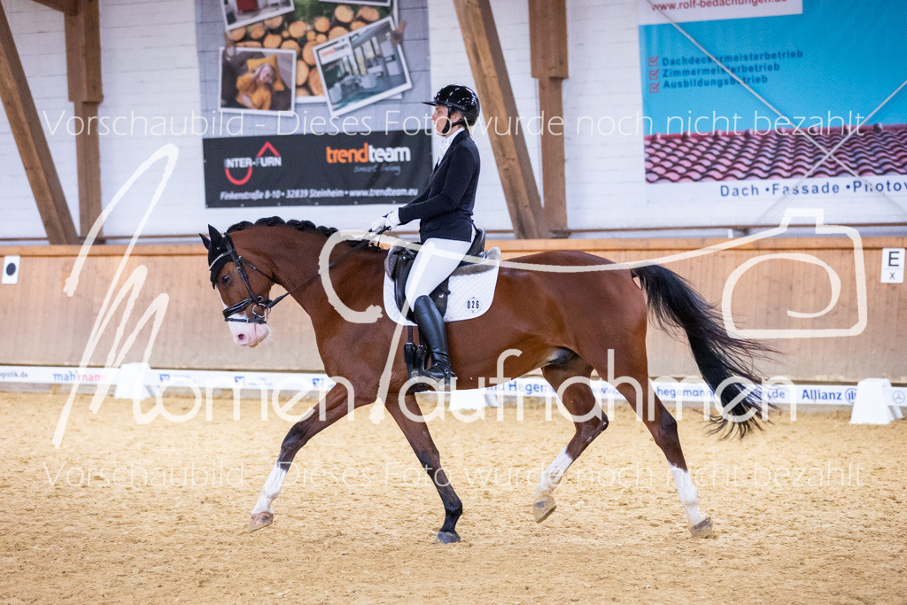 Sth-A-Dre-2St-058 | MomenTaufnahmen Pferdesportfotos