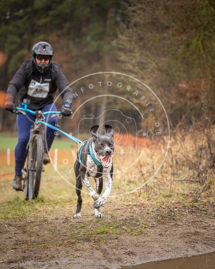 DV3A9118 | Hundefotografie, Tierfotograf, Pfotenfotografie, Fotoshooting Hund, Hunde Portrait, Hundesport, Hundeportraits, Heideshooting, Hunde, Sportfotograf, Hundefotograf, Turnierhundsport, THS,  - Realisiert mit Pictrs.com