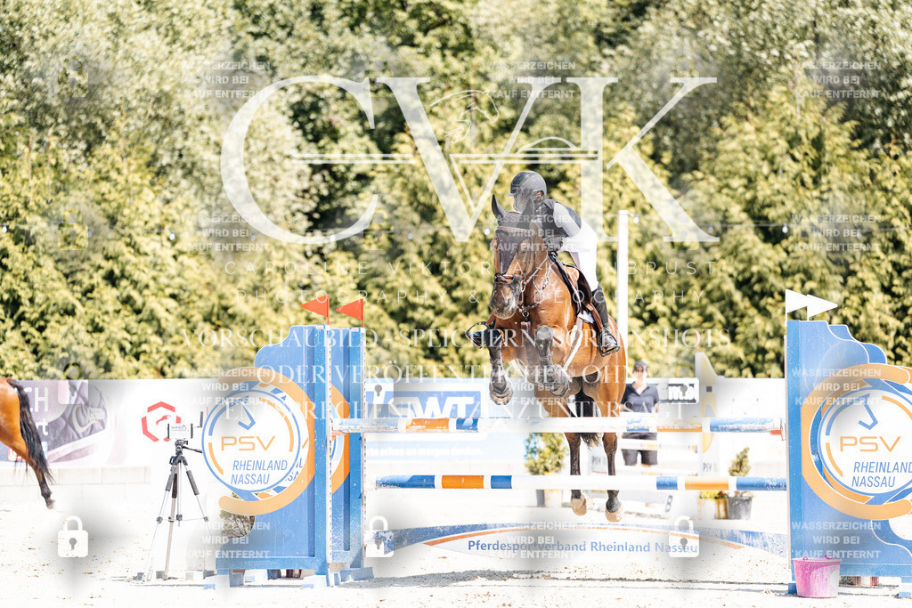 CK900469 | Turnierfotografie Pferdefotografie Trier Rheinland-Pfalz Pferdesport Reitsport Tierfotografie Sportfotografie Pferdevideo Pferdevideografie Equestrianvideography equestrianphotography  - Realisiert mit Pictrs.com