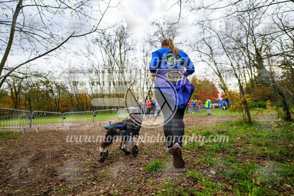 MompixPhotography_Bischwiller24_DI_CoursedeRelais-132 | PayLife