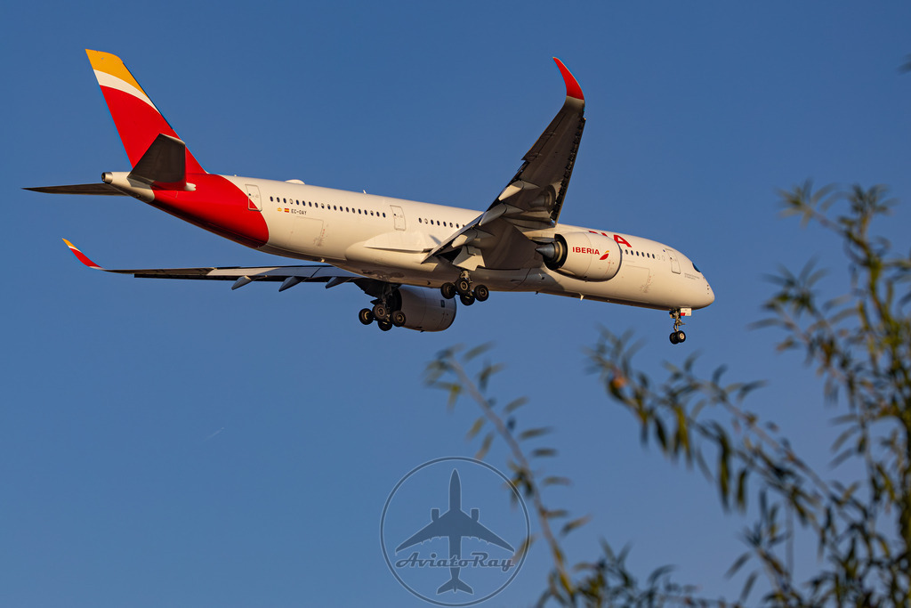 IB6250-A359-EC-OAY-JFK-MAD-20240811-2 | Browse breathtaking aviation photography and order high-quality prints from AviatoRay's gallery. Perfect for enthusiasts and collectors. - Realisiert mit Pictrs.com