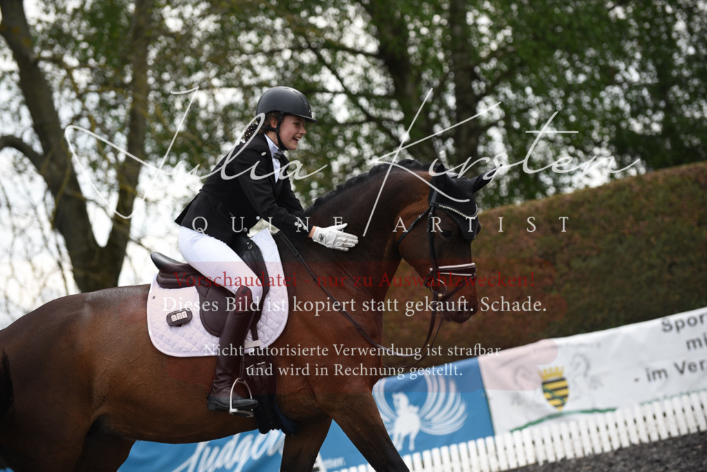 20230513_JK-Röhrsdorf-16-077 | Pferde- und Turnierfotografie in Westsachsen. Pferdeportraits, Auftragszeichnungen und intuitive Kunst.