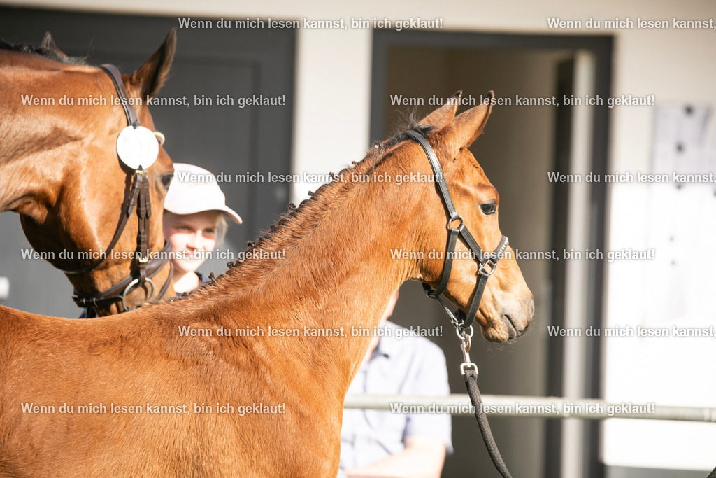 598A7133 | photographylinaismer - Realisiert mit Pictrs.com
