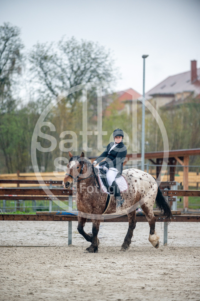 DSC_4909 | sattelsport - Realisiert mit Pictrs.com