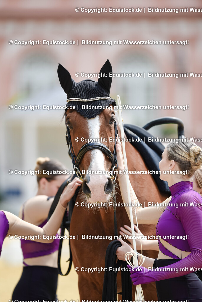 20250608_CVI-Masterclass_1140 | Foto: Thomas Hartig