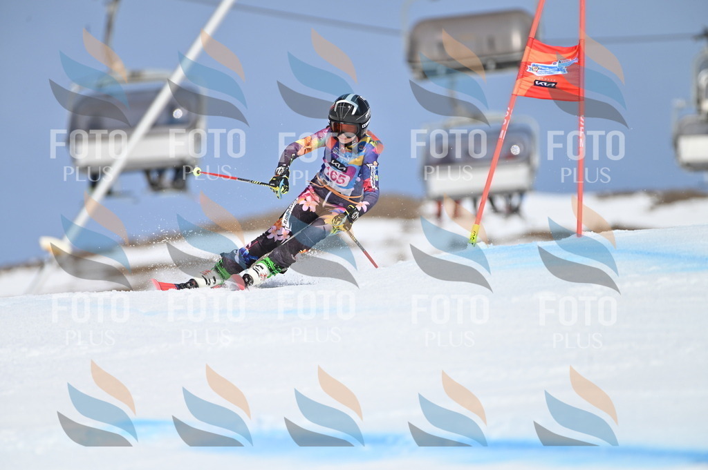 BGV_0347 | holidayphoto