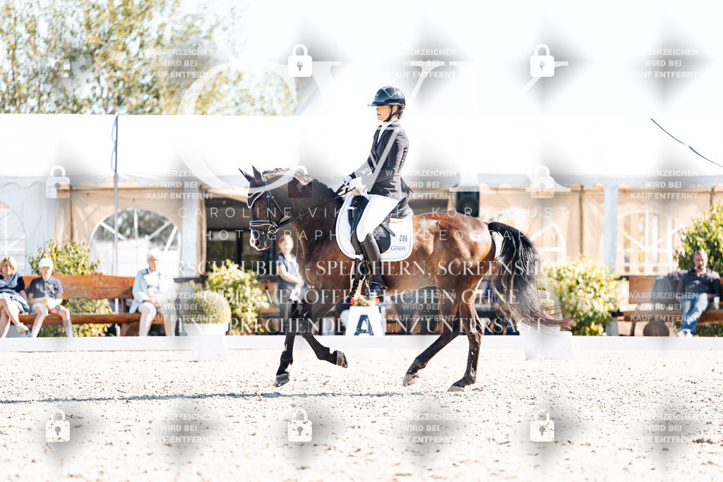 CK909082 | Turnierfotografie Pferdefotografie Trier Rheinland-Pfalz Pferdesport Reitsport Tierfotografie Sportfotografie Pferdevideo Pferdevideografie Equestrianvideography equestrianphotography  - Realisiert mit Pictrs.com