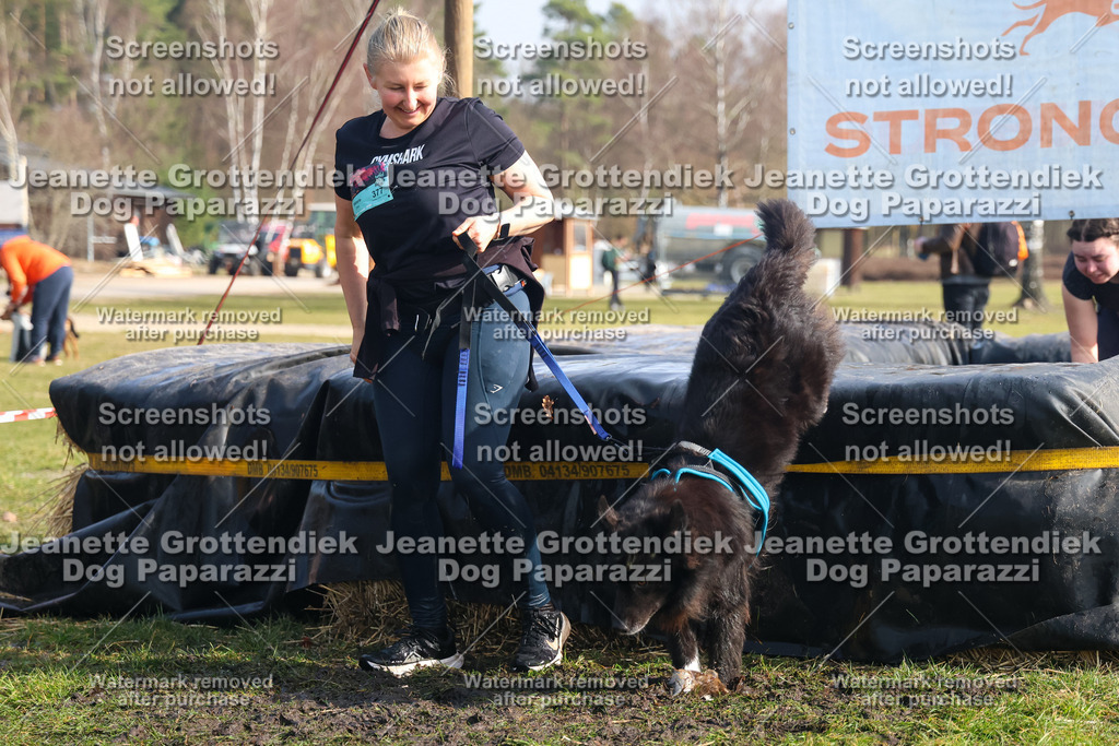 Dog Paparazzi - Strongdog North Mrz26-1619 | Dog Paparazzi Jeanette Grottendiek Fotografie & Videografie - Realisiert mit Pictrs.com