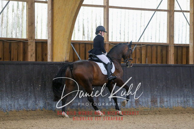 IMG_0149 | Turniersportfotografie; Pferdefotografie; Dressurfotografie