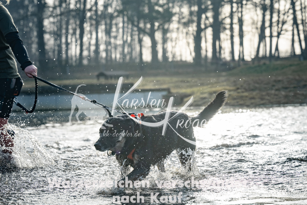 0848_ZZ98446 | kk-dogfotos