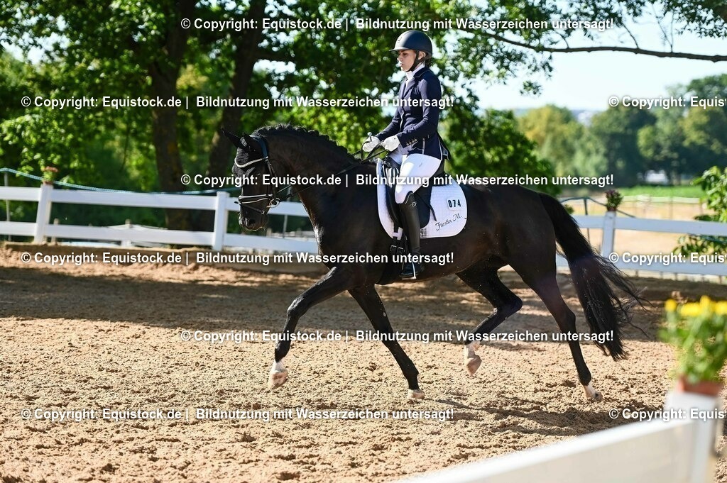 20230715_06_Dressurpferdeprfg. Kl.A_0248 | equistock