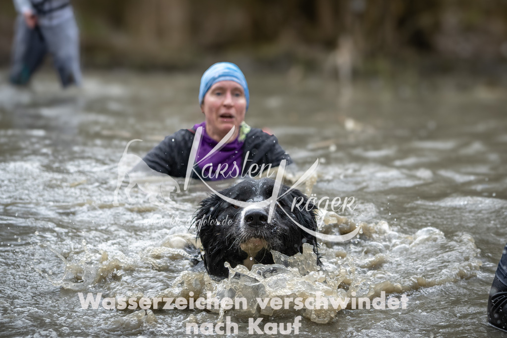 1119_ZZ98433 | kk-dogfotos