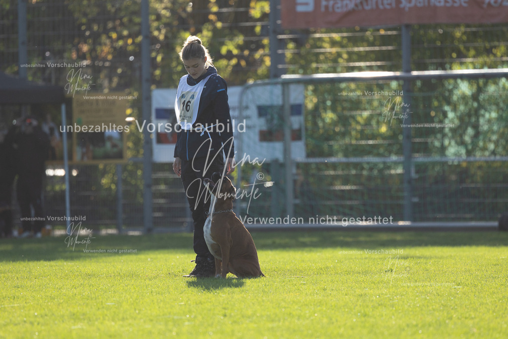 _16A4823 | Einzigartige Fotos von Hunden & Menschen –Actionfotos, Portraits, Vereinsaufnahmen & Paarshootings – authentisch, lebendig & mit Herz.