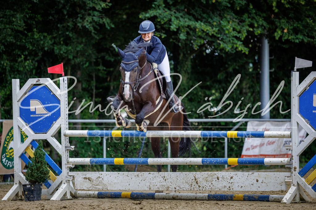 20260705-_3LI5337 | Tierfotografie Pferde, Hunde, Katzen, Haustiere.
Turnierfotografie Reitturniere, Reiten, Springreiten, Dressur in Hanau, dem Main-Kinzig-Kreis und dem Rhein-Main- Gebiet um Frankfurt