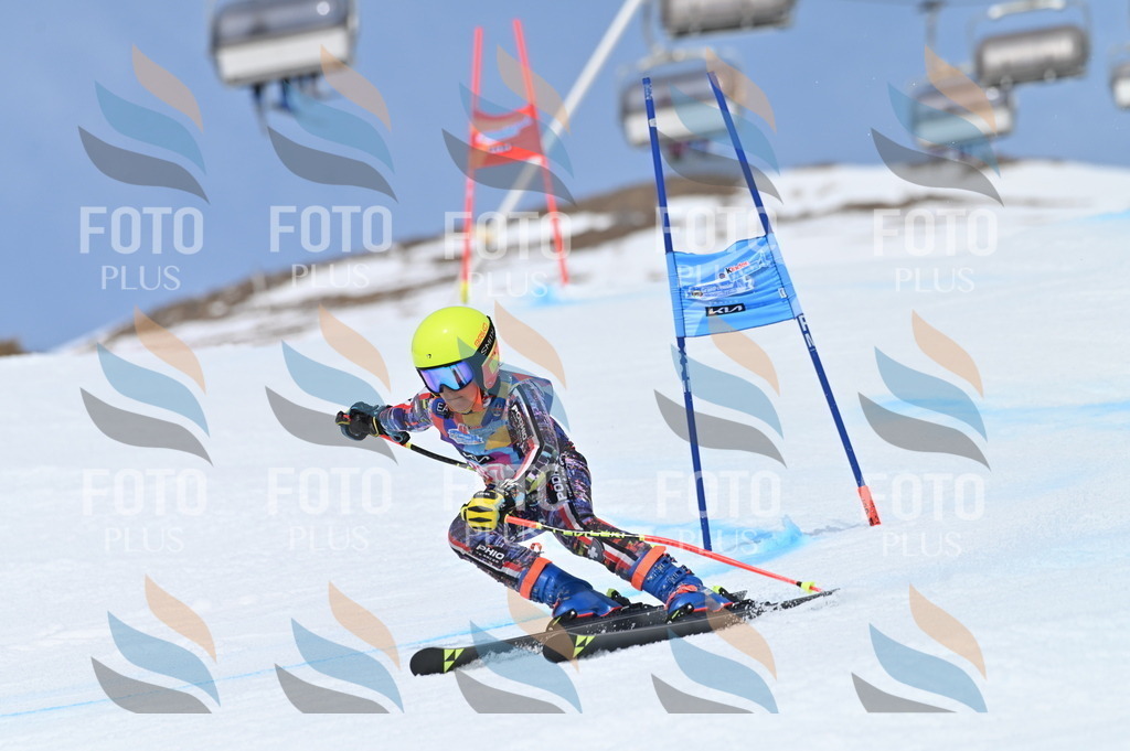 BGV_2553 | holidayphoto