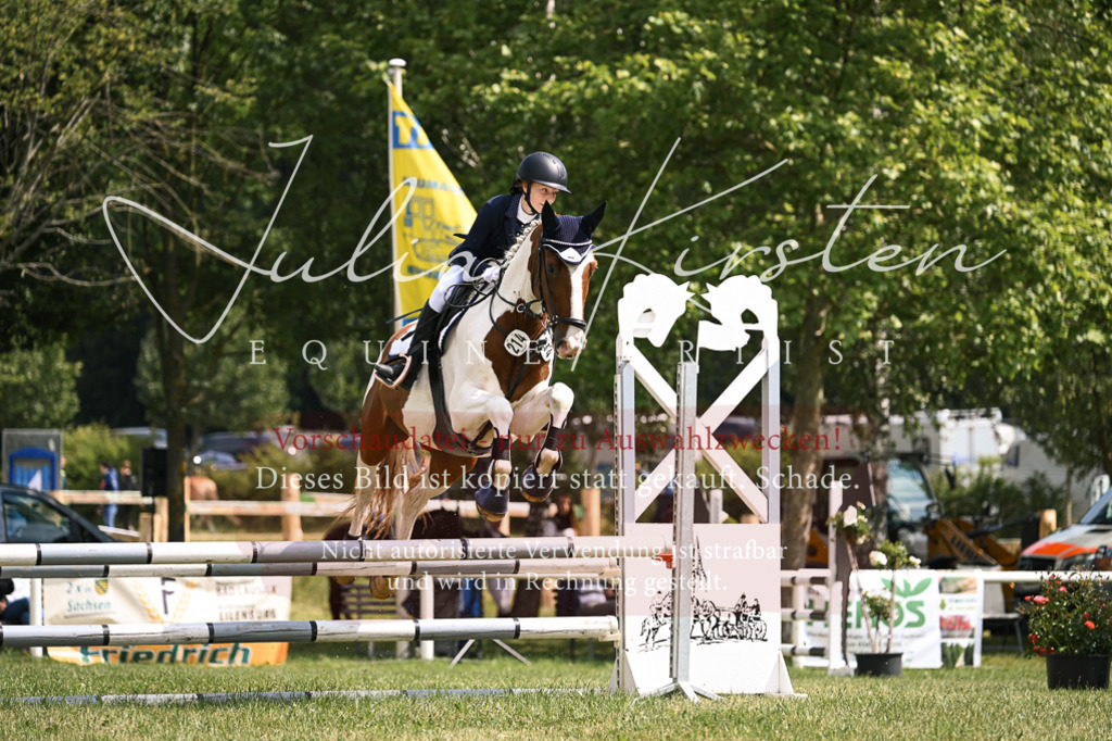 DSC_9073 | Pferde- und Turnierfotografie in Westsachsen. Pferdeportraits, Auftragszeichnungen und intuitive Kunst.