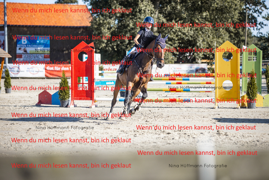 BK1A7446 | Turnierbilder Turnierfotos Nina Hüffmann Turnierfotografie Pferdefotografie Tierzeichnung Haustierzeichnung Pferdezeichnung Hundezeichnung Videograf  - Realisiert mit Pictrs.com