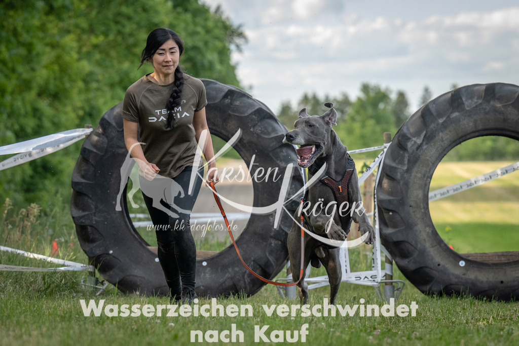 _ZZ906121816 | kk-dogfotos