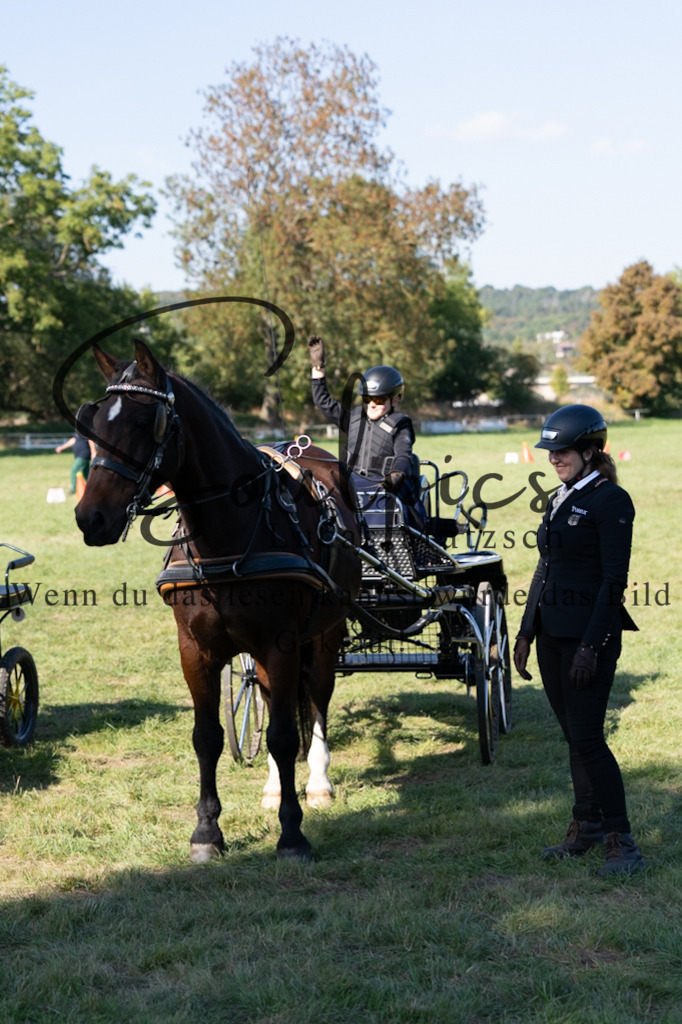 A7V04414 | Pferdefotograf